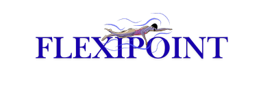 Flexipoint Logo